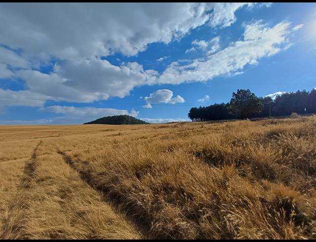 63.80HA FARM FOR SALE IN LIONS RIVER